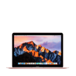 MacBook Retina 12" A1534 Early 2015